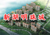 小喬探盤記——新湖明珠城